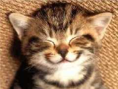 chou!!